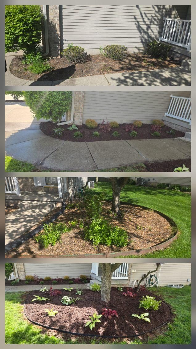 Emergency project — Recent Project