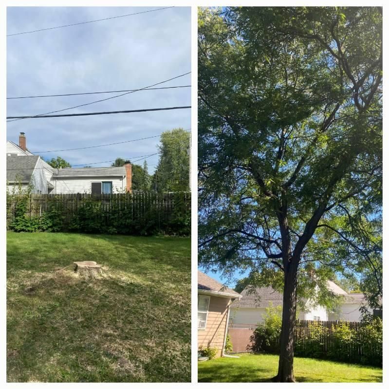 Landscaping project — Recent Project