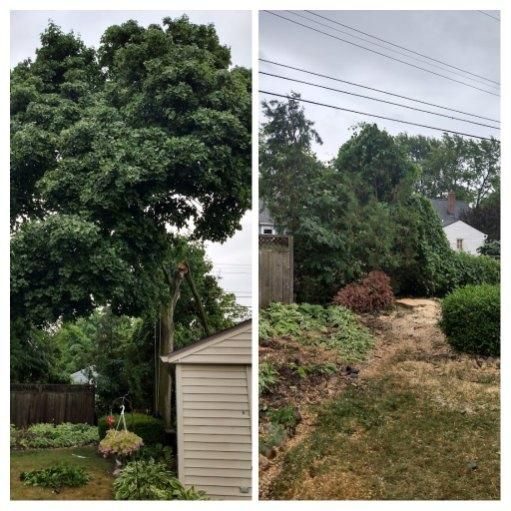 Landscaping project — Recent Project